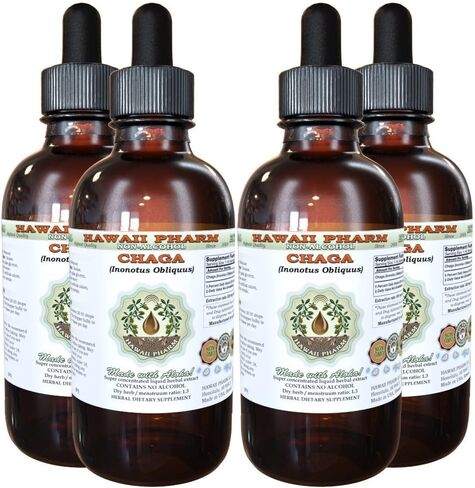 Chaga Alcohol-Free Liquid Extract, Chaga (Inonotus obliquus) Whole Mushroom Dried Glycerite Hawaii Pharm Natural Herbal Supplement 2 oz in Saudi Arabia