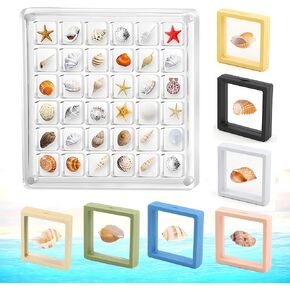 8 Pack Acrylic Seashell Display Box,Two Sizes Shell Display Case,Tiny Shell Collecting Box,Acrylic Containers Organizers for Seashell Collection Box and Jewellery Display Box (Style A)