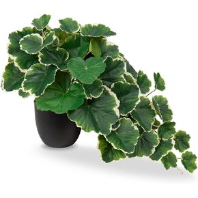 Artificial Plants Indoor, 11.2" Fake Silk Plants Decor Room, Small Artificial Plants in Pots for Shelves Living Room, Begonia Fake Potted Tropical Plants, Faux Desk Plant