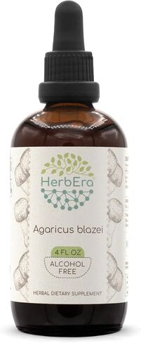 Agaricus Blazei B120 Alcohol-Free Herbal Extract Tincture, Concentrated Liquid Drops Natural Agaricus Blazei (Agaricus blazei murill) Dried Mushroom (4 fl oz) in Saudi Arabia