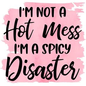 I'm Not A Hot Mess I'm A Spicy Disaster|Great Gift Idea|Decal Sticker|2 Pack|5 Inch Stickers|S10272