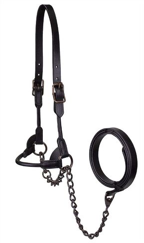Derby Originals Bronze Beauty Premium Round Rolled Leather Cattle Show Halter with Matching Chain Lead in Saudi Arabia