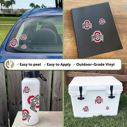 ملصقات صبار الصحراء جامعة ولاية أوهايو OSU Buckeyes ملصقات الفينيل شارات الفينيل زجاجة مياه الكمبيوتر المحمول سيارة القصاصات 11.39x8.98 T3 (النوع 3 C) in Saudi Arabia