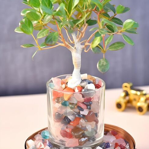 رقائق كريستال مختلطة مصقولة 200 قطعة - 10 أونصة من رقائق الحجر المكسرة وأحجار زجاج البحر للشفاء من كريستال الريكي لصنع ديكور المنزل in Kuwait