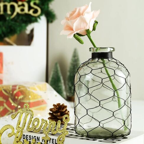 مزهرية زجاجية مزخرفة على شكل نجمة من Diamond Star مزهرية زهور ملفوفة بأسلاك الدجاج لديكور المنزل (4 × 7 بوصات) شفافة in Kuwait