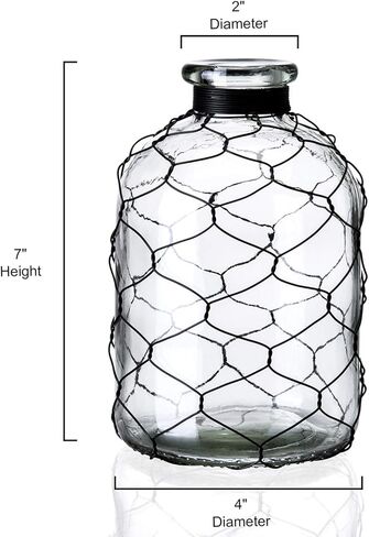 مزهرية زجاجية مزخرفة على شكل نجمة من Diamond Star مزهرية زهور ملفوفة بأسلاك الدجاج لديكور المنزل (4 × 7 بوصات) شفافة in Kuwait