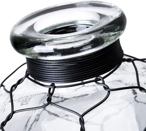 مزهرية زجاجية مزخرفة على شكل نجمة من Diamond Star مزهرية زهور ملفوفة بأسلاك الدجاج لديكور المنزل (4 × 7 بوصات) شفافة in Kuwait