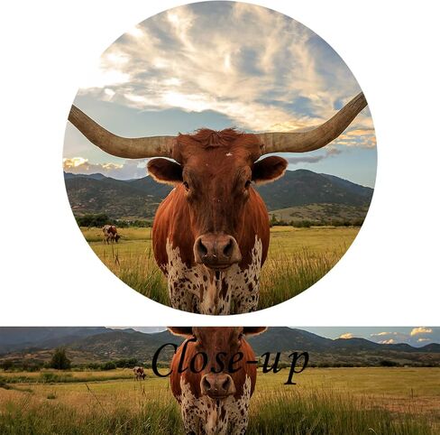 KREATIVE ARTS Large 5 Panel Texas Animal Picture for Living Room Longhorn Steer in Rural Utah Painting Cow with Big Horns Wall Art Farm Animals Prints on Canvas Modern Home Decor 60x32inch in Saudi Arabia