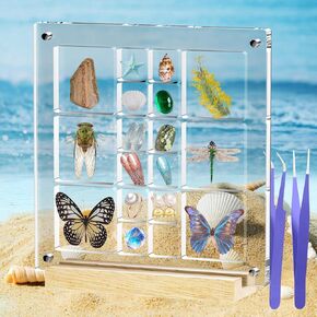 Mini Acrylic Seashell Collection Display Box Magnetic Shadow Boxes for Jewels Storage and Showcase Solution, Container for Bead, Nail, Suitable for Mini Collections,0.5in High (22 grids, Heart)