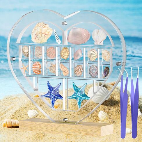 Mini Acrylic Seashell Collection Display Box Magnetic Shadow Boxes for Jewels Storage and Showcase Solution, Container for Bead, Nail, Suitable for Mini Collections,0.5in High (22 grids, Heart) in Saudi Arabia