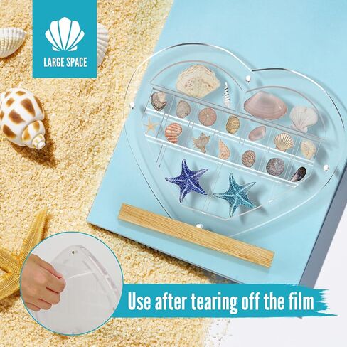 Mini Acrylic Seashell Collection Display Box Magnetic Shadow Boxes for Jewels Storage and Showcase Solution, Container for Bead, Nail, Suitable for Mini Collections,0.5in High (22 grids, Heart) in Saudi Arabia
