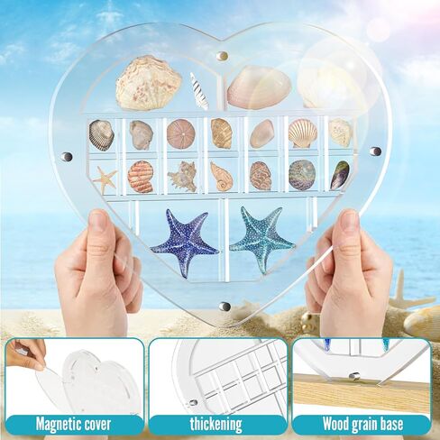 Mini Acrylic Seashell Collection Display Box Magnetic Shadow Boxes for Jewels Storage and Showcase Solution, Container for Bead, Nail, Suitable for Mini Collections,0.5in High (22 grids, Heart) in Saudi Arabia
