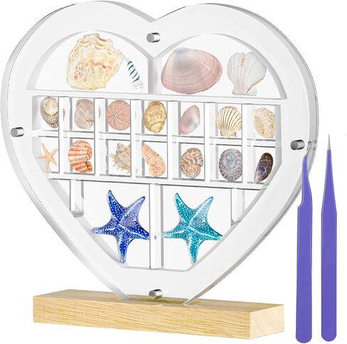 Mini Acrylic Seashell Collection Display Box Magnetic Shadow Boxes for Jewels Storage and Showcase Solution, Container for Bead, Nail, Suitable for Mini Collections,0.5in High (22 grids, Heart) in Saudi Arabia