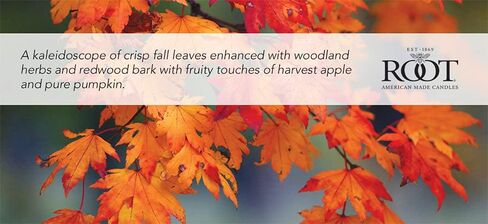 Scented Tealights Handcrafted Beeswax Blend 4-Hour Tealight Candles, 8-Count, Fall Leaves in Saudi Arabia