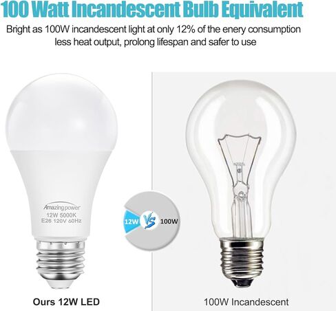 100W Equivalent Light Bulbs, A19 E26 LED Bulbs, 12W 5000K Daylight White 1200 Lumens, Non-Dimmable, 12-Pack in Kuwait