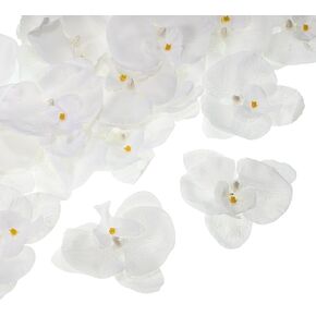 PATIKIL 3.9" Artificial Orchid Flower Heads, 40 Pack Silk Phalaenopsis Fake Butterfly Orchid Heads for Wedding Floral Bouquet Decor DIY Craft Making, Pure White