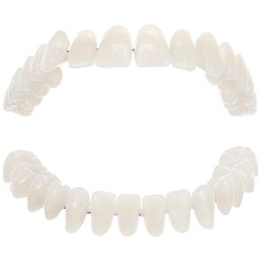 Mobestech 1 Set Model Dental Training Models Fake Teeth Model Dental Study Models Human Teeth Model Dental Models for Students Teeth Model for Dental Students 3D Universal