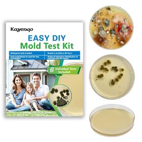 Mold Test Kit for Home - 6 Simple Detection Tests,Test HVAC System,Home Surfaces,&Indoor Air Quality Testing Kits,DIY black Mold Detector at Home,Includes Detailed Mold Identification Guide,air Tester