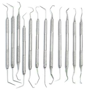 12 Piece Dental Probe Pick Tool Instrument Set Stainless Steel Scaler PR-296