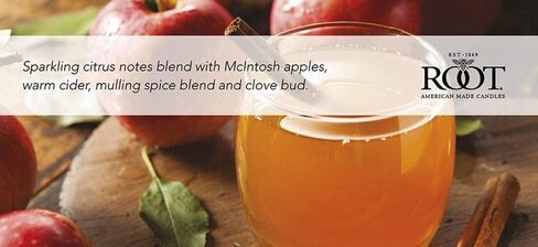 Scented Tealights Handcrafted Beeswax Blend 4-Hour Tealight Candles, 8-Count, Fall Leaves in Saudi Arabia