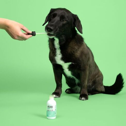 Calming Organic Hemp Oil for Dogs and Cats - Hemp Oil Drops with Omega Fatty Acids - Hip and Joint Support, Skin and Coat Health and Allergy Relief - Helps with Anxiety, Stress and Pain in Saudi Arabia