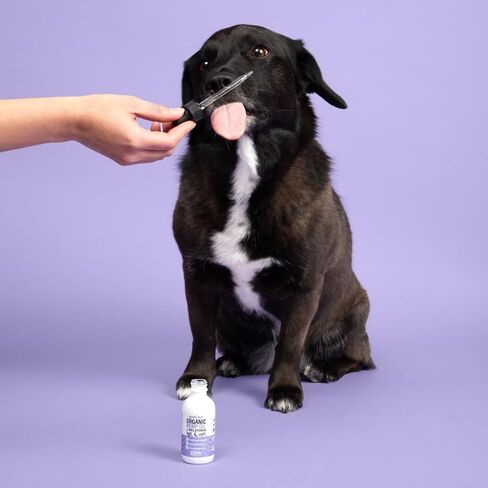 Calming Organic Hemp Oil for Dogs and Cats - Hemp Oil Drops with Omega Fatty Acids - Hip and Joint Support, Skin and Coat Health and Allergy Relief - Helps with Anxiety, Stress and Pain in Saudi Arabia