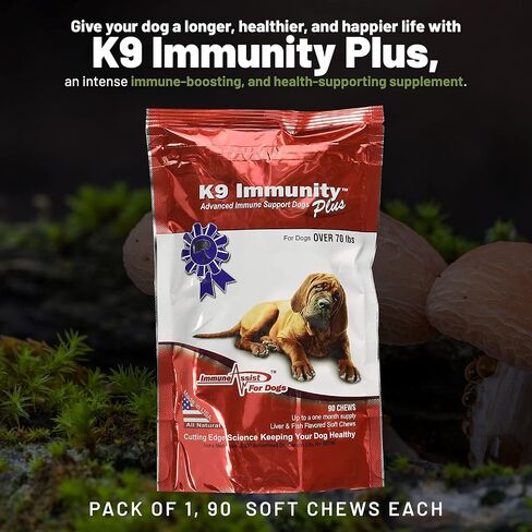 K9 Immunity Plus - Potent Immune Booster for Dogs 30-70 lbs - Certified Organic – Mushroom Enhanced Supplement - Veterinarian Recommended Dog Health Supplement - 60 Chews 2 Pack in Saudi Arabia