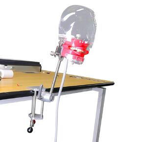 Dental Teaching Simulator Manikin Phantom Head Model Plastic Educational Teeth Model Fix on (Table Type)