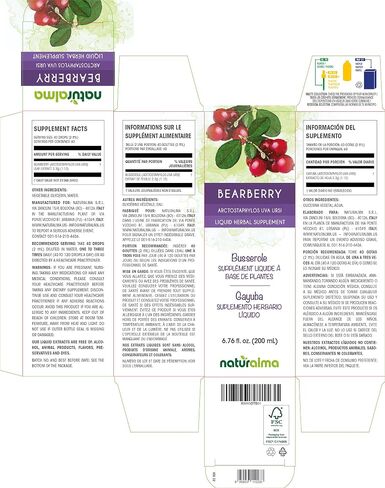 Naturalma Bearberry (Arctostaphylos uva Ursi) Leaf Alcohol-Free Tincture - 4 fl oz Liquid Extract in Drops - Herbal Supplement - Vegan in Saudi Arabia