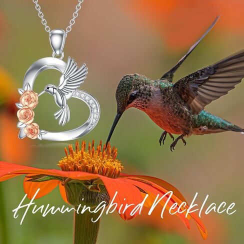 LWXIE Diamond Hummingbird Necklace 925 Sterling Silver Hummingbird Circle Pendant Necklace Diamond Jewelry Gifts for Women Girls Wife Girlfriend in Saudi Arabia