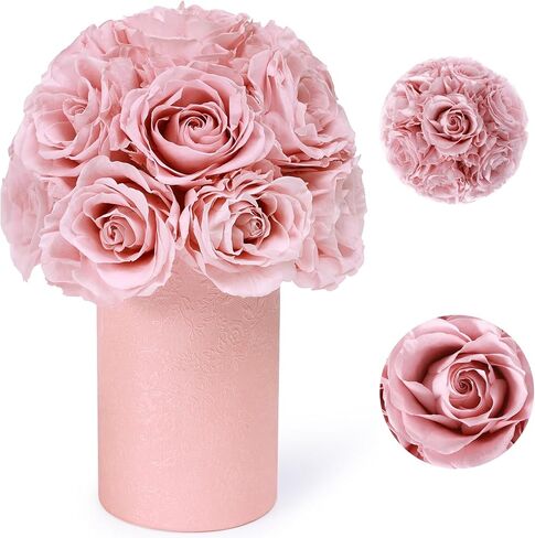 ANLUNOB Gift 20-Piece Forever Rose Round Barrel Preserved Roses Forever Flowers for Delivery Prime Mothers Day & Valentines Day for Wife Girlfriend in Saudi Arabia