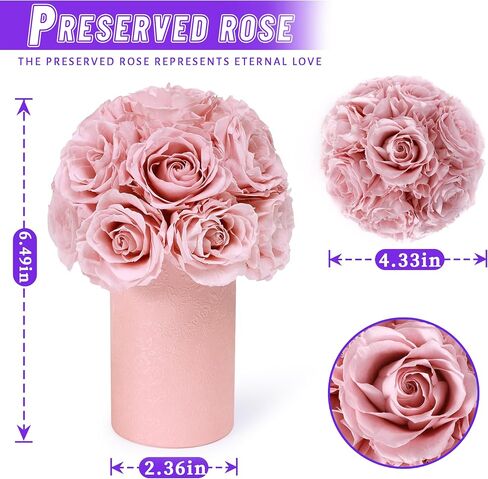 ANLUNOB Gift 20-Piece Forever Rose Round Barrel Preserved Roses Forever Flowers for Delivery Prime Mothers Day & Valentines Day for Wife Girlfriend in Saudi Arabia