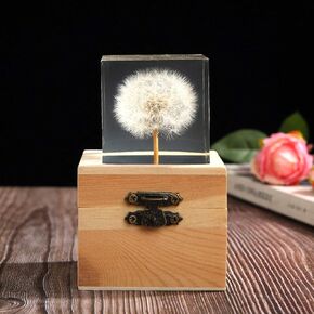 Real Dandelion specimen Paperweight （2x2x2 Inch）