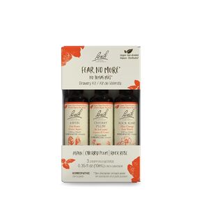 Bach Original Flower Remedies, Fear No More Kit, For Courage & Bravery (Non-Alcohol Formula), Natural Homeopathic Flower Essence, Vegan, 3 x 10mL Droppers