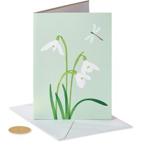 Papyrus Sympathy Card (You're In Our Thoughts)