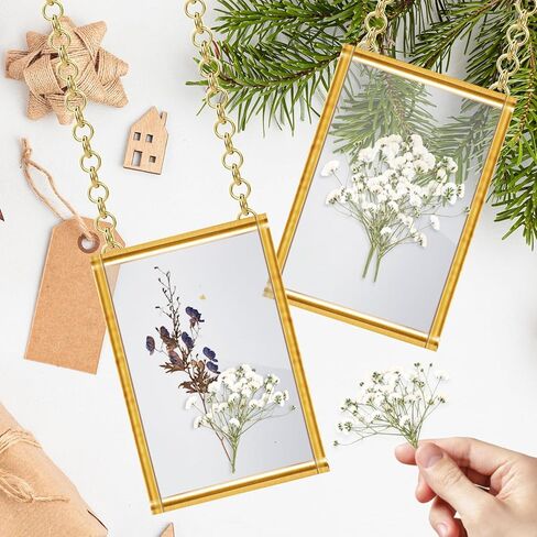 300 قطعة من زهور التنفس للأطفال، زهور بيضاء حقيقية لتنفس الطفل، زهور طبيعية مضغوطة، زهور جيبسوفيلا طبيعية مضغوطة من أجل فن الراتنج، صناعة يدوية لصنع بطاقات الزفاف in Kuwait