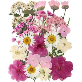 26 Pcs Dried Flowers for Crafts, 9 Types Real Natural Dried Pressed Flowers for Scrapbooking DIY Art Crafts, Epoxy Resin Jewelry Molds, Candle, Soap Making, Nails Décor