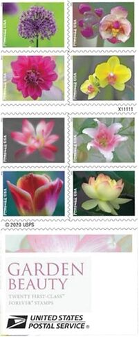 Garden Beauty (كتيبان من 20) طوابع بريدية للأبد، بريد أمريكي من الدرجة الأولى، احتفالات الزفاف، حفلات الزهور السنوية (40 طوابع) 2021 Scott #5558-5567 in Kuwait