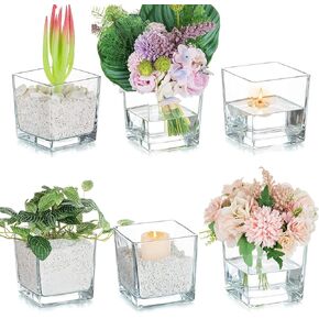 Glasseam Square Glass Vases for Centerpieces: 5 inches Short Flower Vase Set of 6 Low Large Clear Vases for for Flowers Wide Decorative Centerpiece Vases for Table Wedding Dining Room Decor