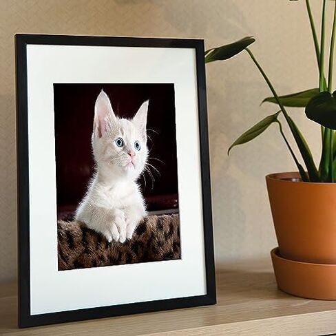 Picture Frames 8x10 Picture Frame Set of 3, Made of High Engineered Wood for 5x7 with Mat or 8x10 Without Mat, Table Top and Wall Mounting Decor,Wall Gallery Photo Frames(Black) in Saudi Arabia
