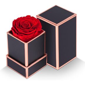 WOKEISE Preserved Real Rose in a Box That Last 3 Years, Eternal Rose - Forever Flowers Gifts for Birthday, Anniversary, Christmas, Women, Wife, Girlfriend, Mom, Grandma (Red, 1pcs)