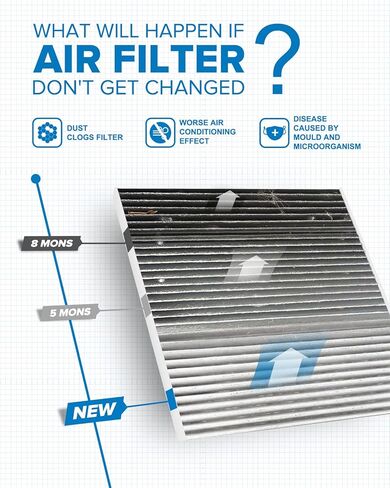 PHILTOP ACF036 (CF10135) Premium Cabin Air Filter, Replacement for EL (1997-2000, 2002-2005), RSX (2002-2006), Civic (2001-2005), CR-V (2002-2006), Element (2003-2011), CSX 2006, Pack of 2 in Kuwait