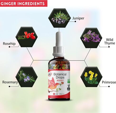 Botanical Drops Boost, Natural Drops, and Immune Support Drops for Women and Men (1PC) in Saudi Arabia