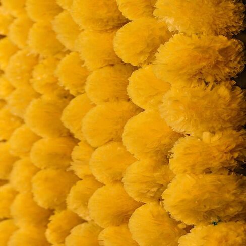 4.5 feet Marigold Garland |Indian/American Wedding Party Mantle Decoration, Faux Garlands Wedding Garland, Diwali Decoration, Spring Bush Floral! (Mango Yellow, 5) in Saudi Arabia