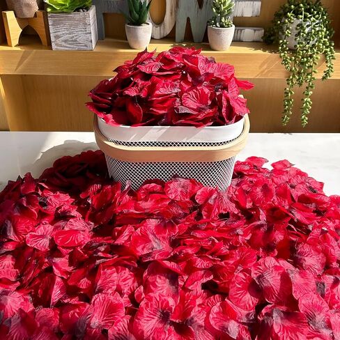 Winlyn 3000 Pcs Red Silk Rose Petals Set - Scented Ready-to-use Separated Realistic Artificial Rose Flower Petals for Romantic Night for Her for Him for Weddings Anniversaries Valentine's Day Decor in Saudi Arabia