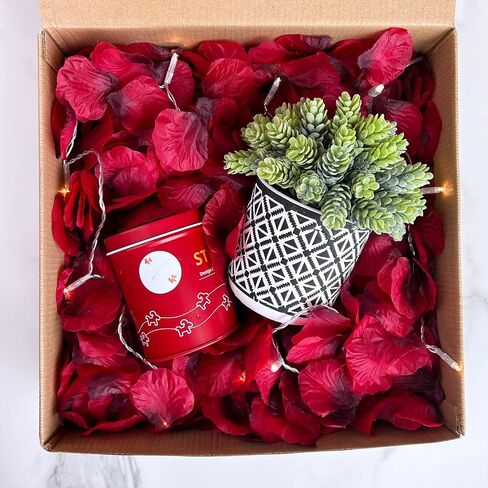 Winlyn 3000 Pcs Red Silk Rose Petals Set - Scented Ready-to-use Separated Realistic Artificial Rose Flower Petals for Romantic Night for Her for Him for Weddings Anniversaries Valentine's Day Decor in Saudi Arabia