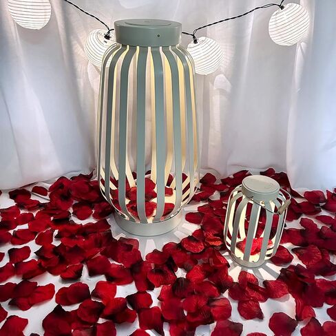 Winlyn 3000 Pcs Red Silk Rose Petals Set - Scented Ready-to-use Separated Realistic Artificial Rose Flower Petals for Romantic Night for Her for Him for Weddings Anniversaries Valentine's Day Decor in Saudi Arabia