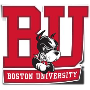 Desert Cactus Boston University Terriers BU Vinyl Decal Laptop Water Bottle Car Scrapbook Sticker (IND 1)