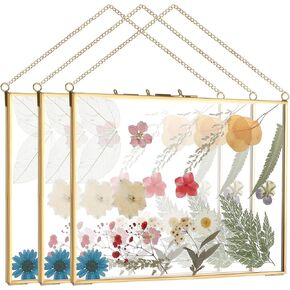 3 Pcs Double Glass Frame for Pressed Flower 8 x 10 Inch Brass Hanging Photo Picture Frame Gold Floating Artwork Display Frame with Chain Wall Decor for Gallery Pictures DIY Artwork Decor