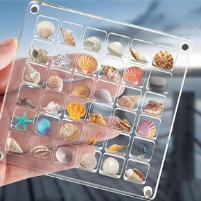 Magnetic Seashell Display Box Acrylic Seashell Display Box Transparent Seashell Storage Clear Acrylic Magnetic Seashell Display Box (64)